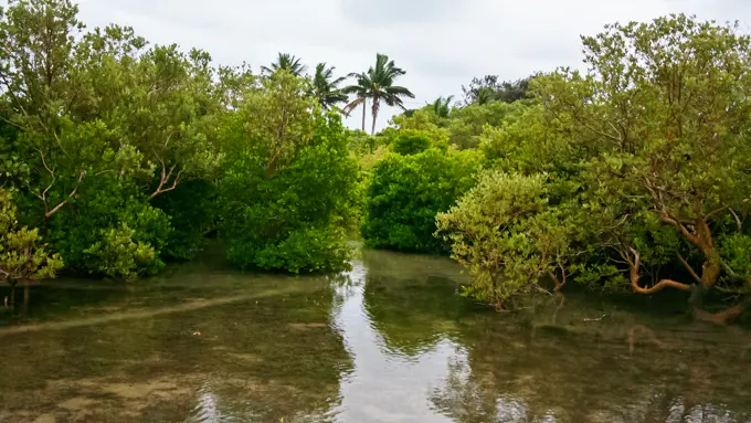 Nahyeeni Lodge